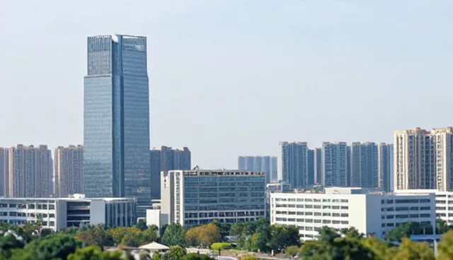 软件项目方案设计选型与维护建议